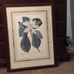 Framed Magnolia print